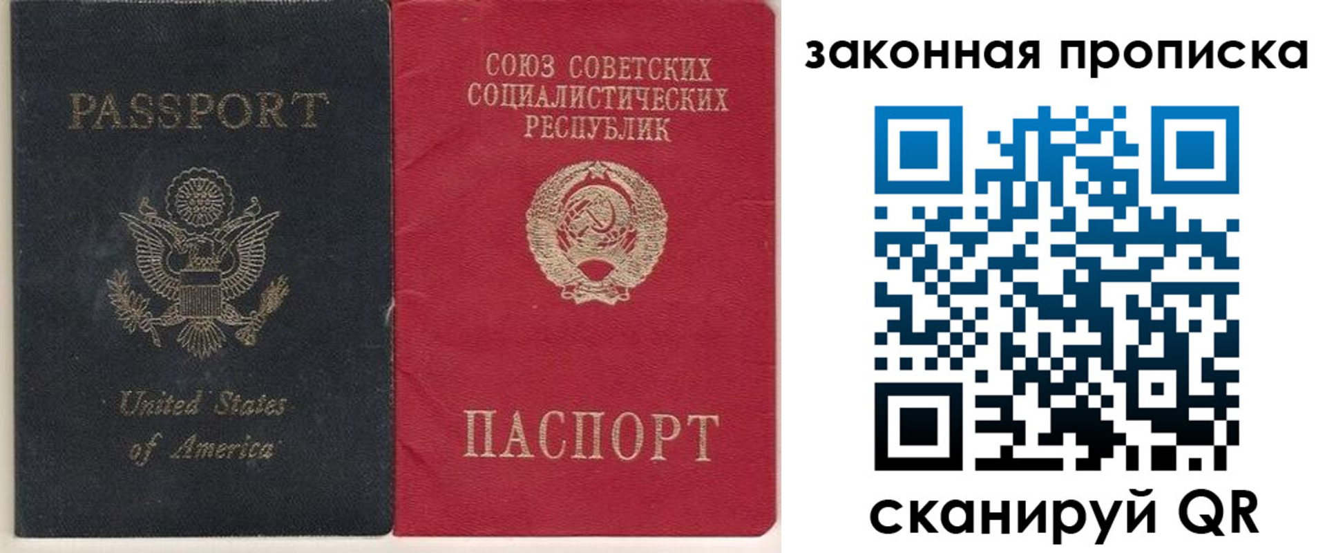 миграционный учет в Владимирской области